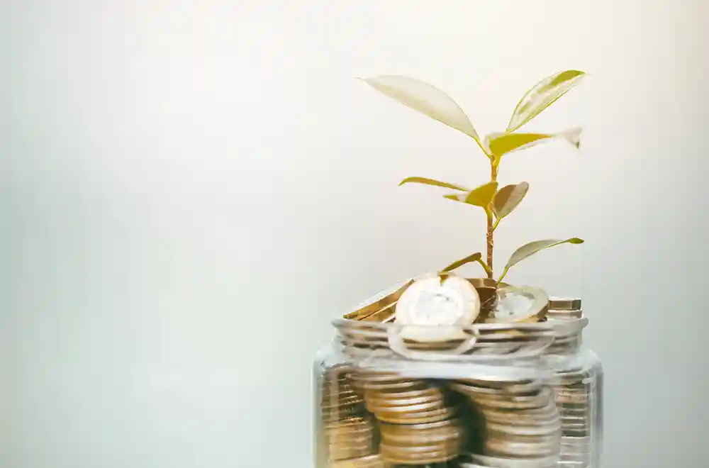 Financial Planning - stack of coins with plant growing