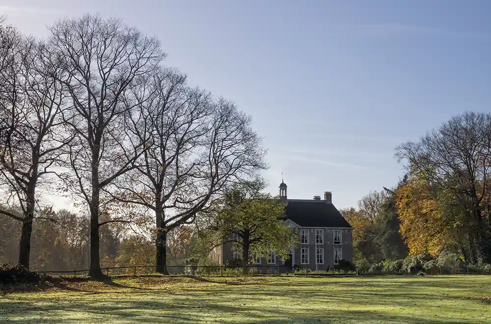 Estate Financial Investment Planning