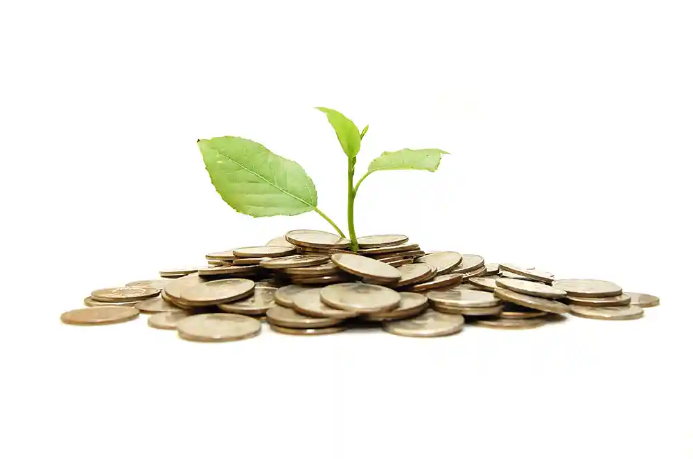Financial Investments - Plant with green leaves growing from stack of coins